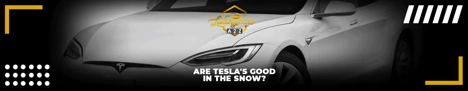 Are Tesla good in the snow?