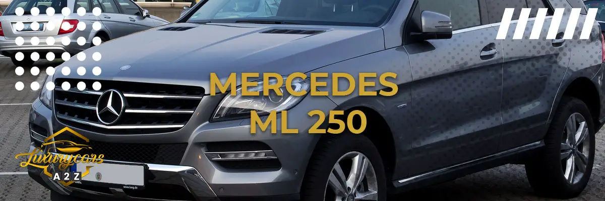 Mercedes ML 250