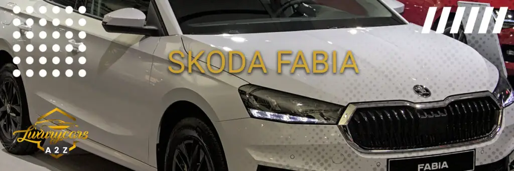 Überraschende Schwächen? Škoda Fabia Se Comfort 2023 Im Check! - ji9b9ir